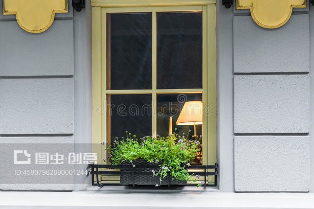窗飾花盆Window decorated flowerpot